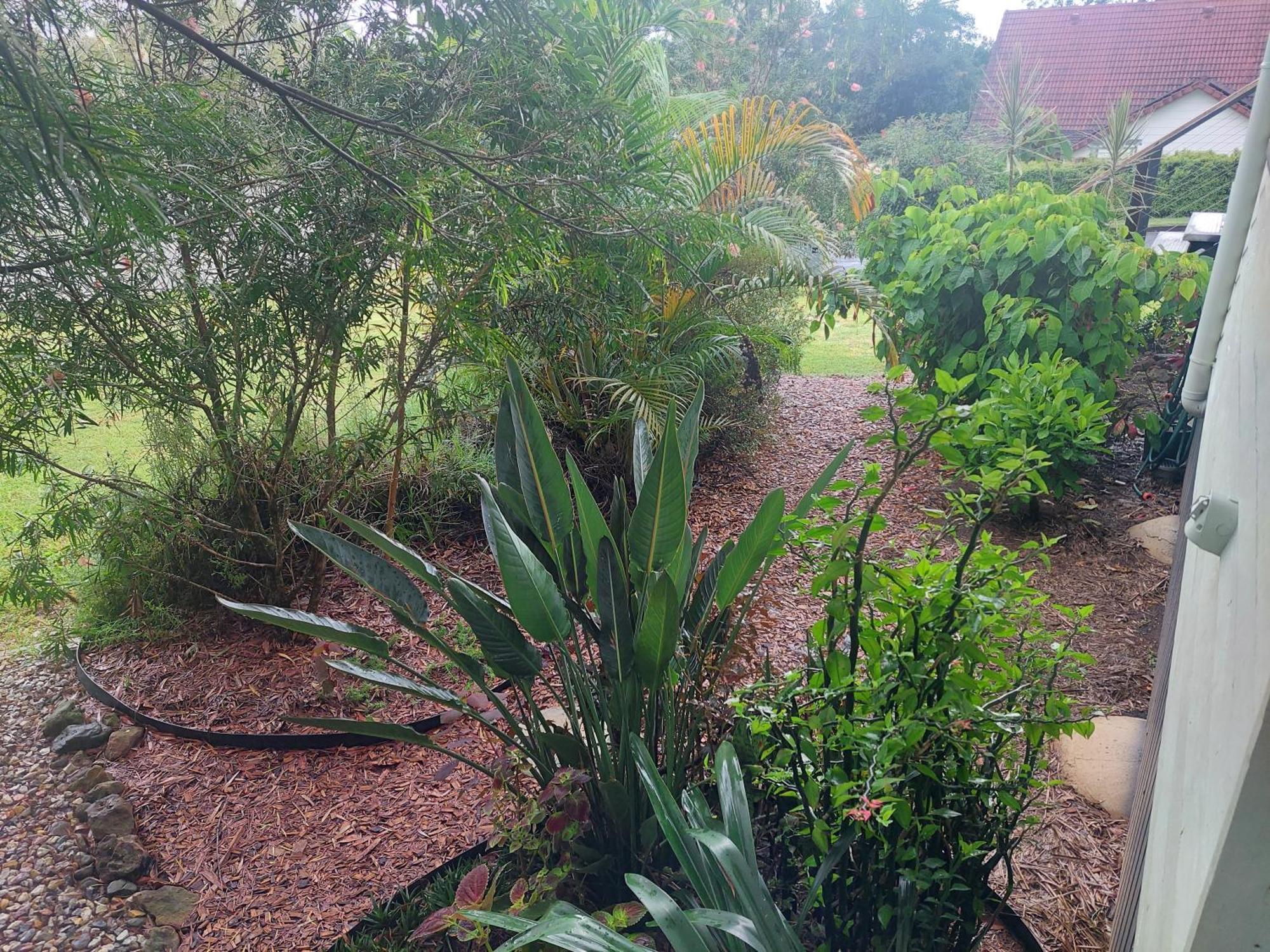 Kyogle Comfy Homestay Chambre photo